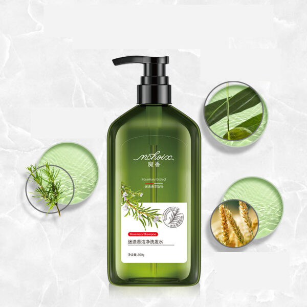 Rosemary Shampoo Body Wash For Hair Care, Refreshing And Oil Control - Image 2